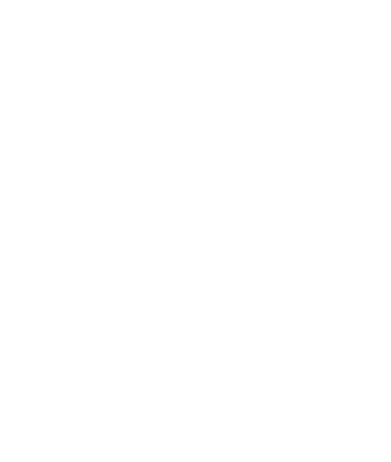 Alla Novytska logo: an A and N monogram inside a house outline